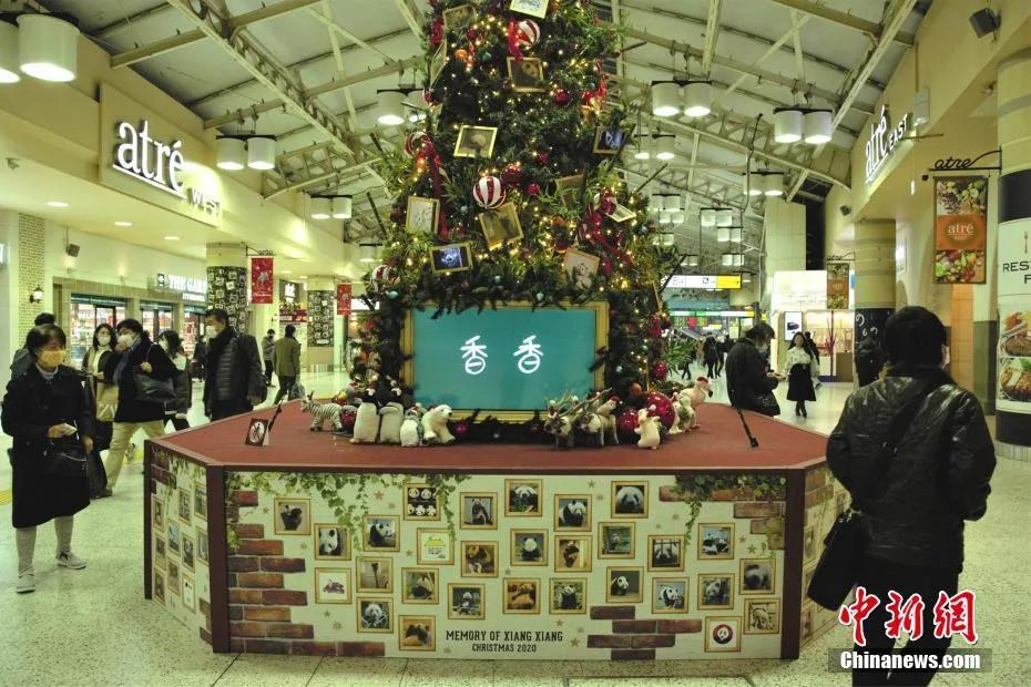 把大熊猫养成了摇钱树，日本人是如何做到的？