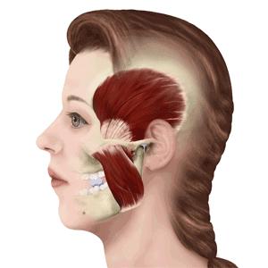 三个很重要但不常练的肌肉,怎么练又好看又有力量的肌肉