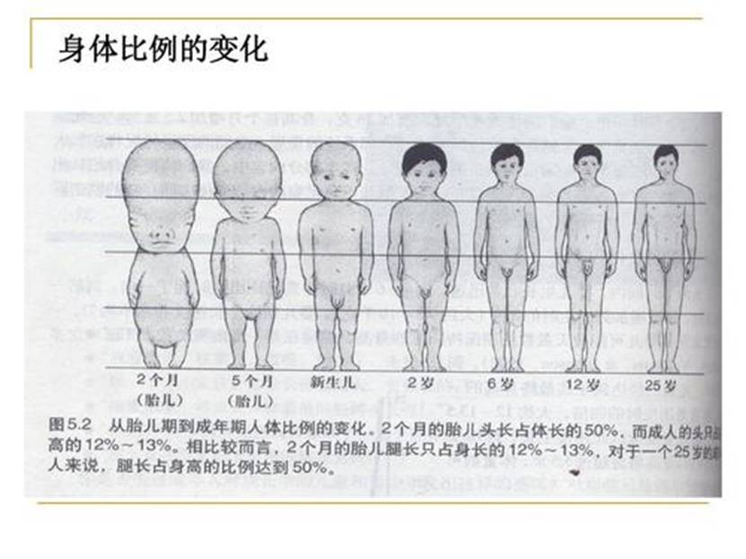 安全座椅实用性高吗,开了这么久的车你真的会调座椅吗
