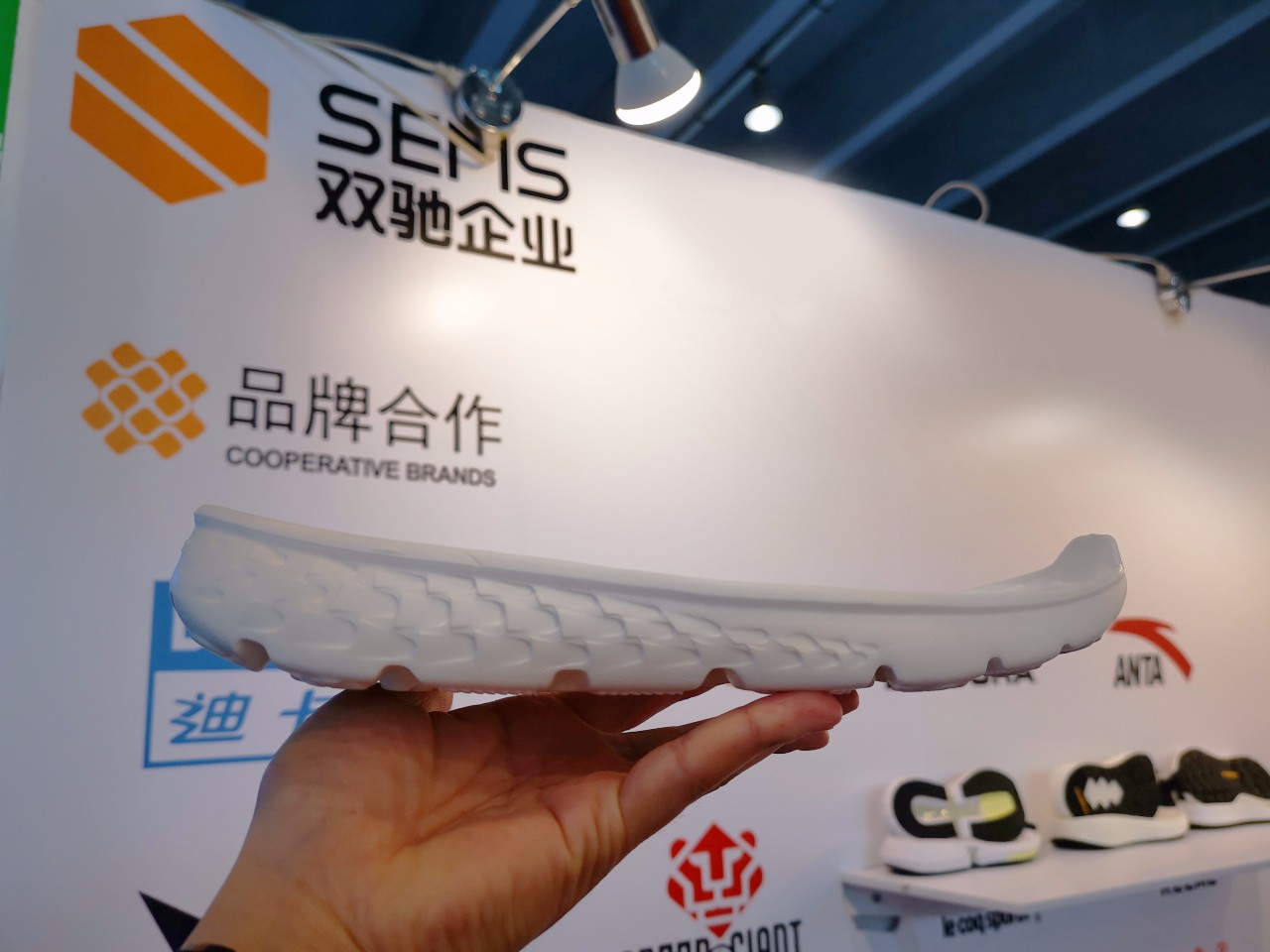 双驰亚展,让爱“步”满整个世界