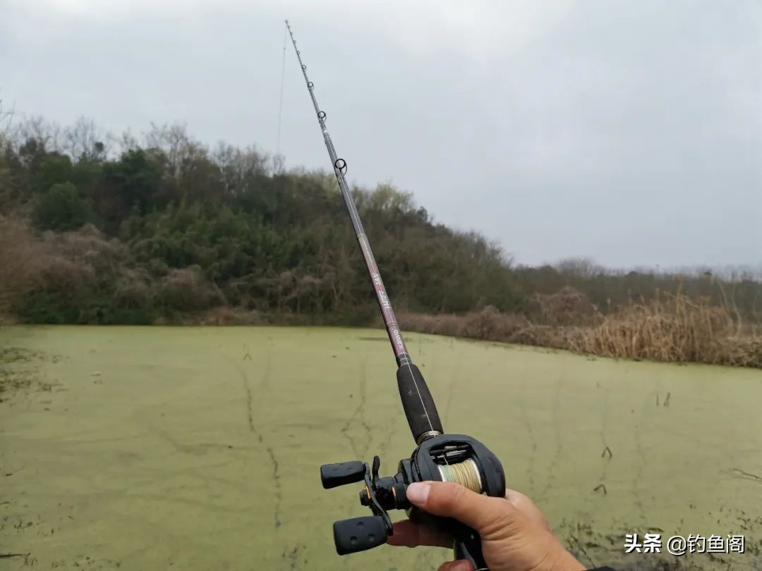 雷强钓黑鱼的方法与技巧,雷强钓法几月份黑鱼开口好