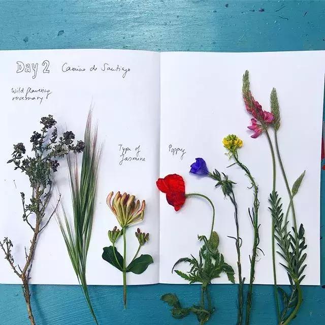 如何用手账本做一篇漂亮的手账,青春专属手帐