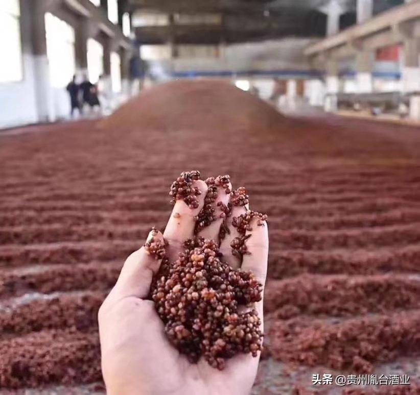 河北人喝什么类型的白酒,河北石家庄市流行喝什么酒