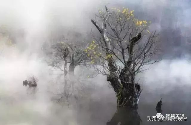 陈雄斌：做到这９点，你就能修炼成仙