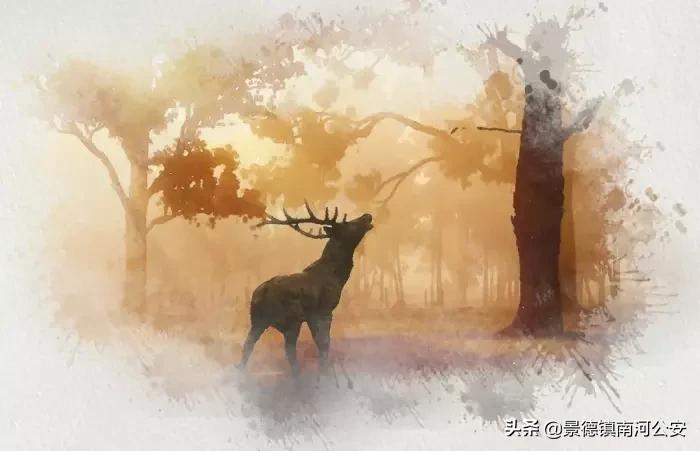 诗词大全五言绝句,50首绝美五言绝句哪句最打动你