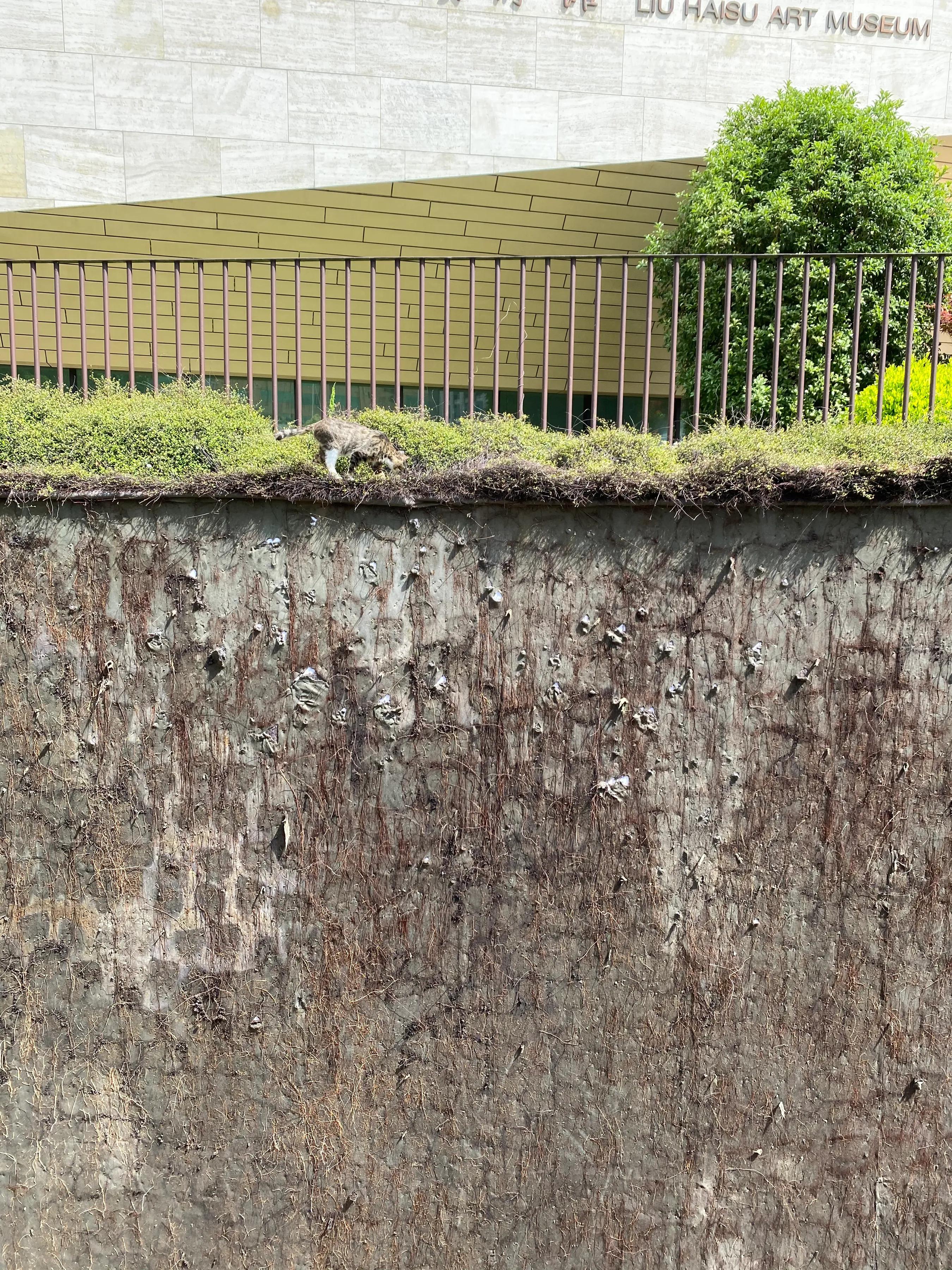 谈了四年的男朋友想结婚怎么办,男朋友有了孩子但不想要怎么办