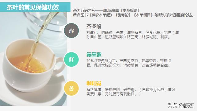 茶叶知识零基础入门手册书电子版,茶叶基础知识讲解课件视频