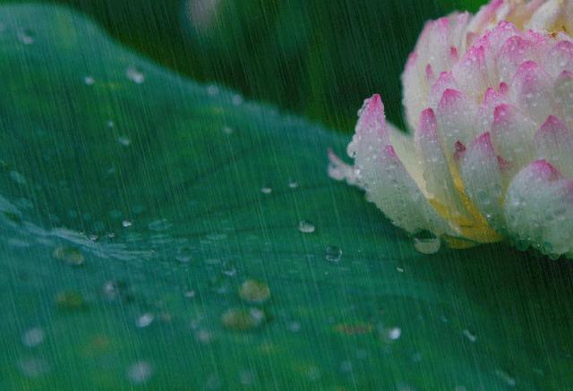 倪海厦快速学成中医,跟诊心得倪海厦