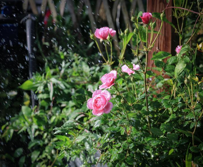 最美院子乡村,最美庭院农村轻奢