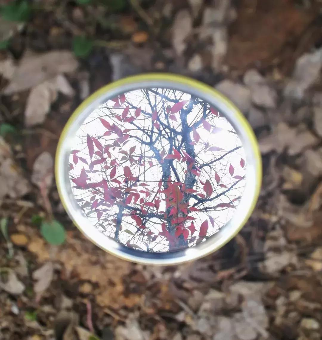 镜中的武工院，是最美？妙不可言？