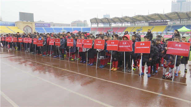 渭南市临渭区青少年足球比赛,渭南青少年足球锦标赛