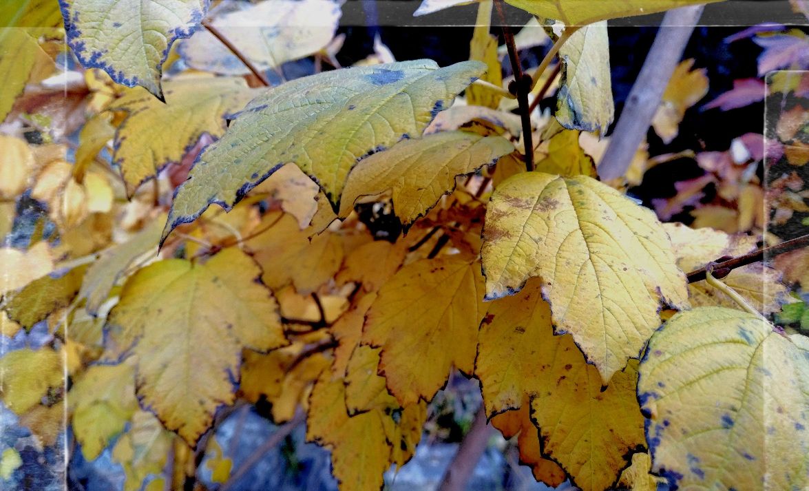 黑莓手机全键盘最新款,黑莓全键盘黑莓key2