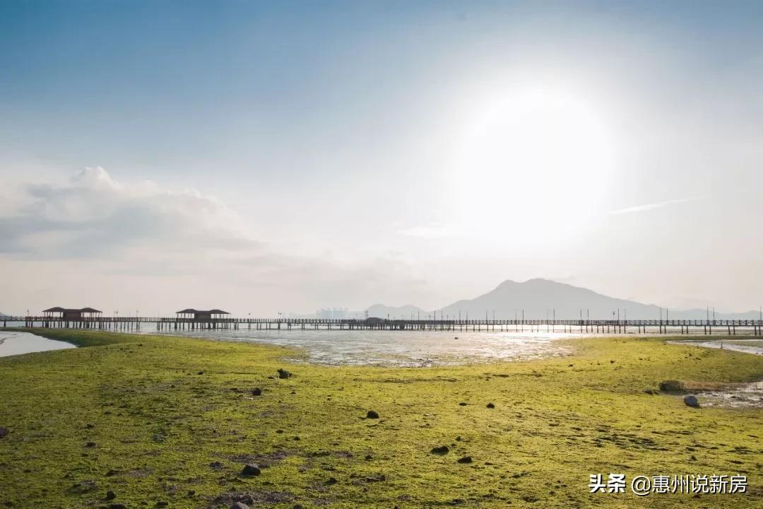 惠州巽寮湾富力湾,惠州巽寮湾富力湾楼盘最新信息