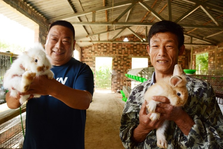 歌曲小兔子乖乖把门开开 (小兔子乖乖把门开开动图)