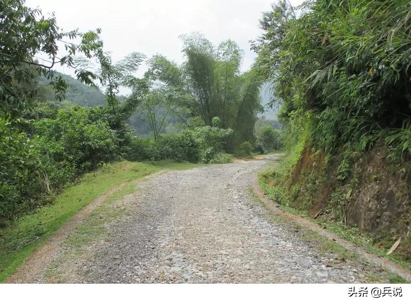 越南老兵重回当年战斗过的洞穴 (越南老兵回忆丛林战争)