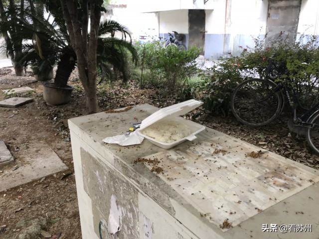 小区邻居养了三条狗违法吗,小区业主养了多条狗