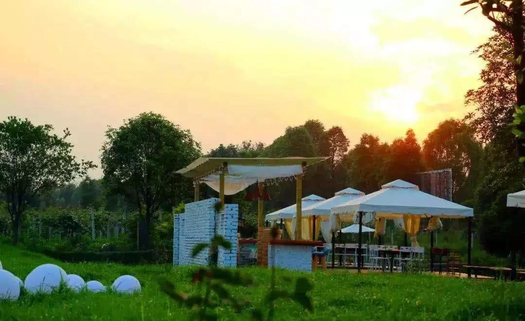 青城山熊猫谷都江堰一日游攻略,熊猫谷青城山都江堰一日游攻略