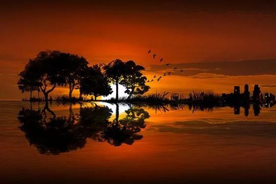 福利|音乐随时随地，大桥也要唱歌：江湖音乐节，来了。