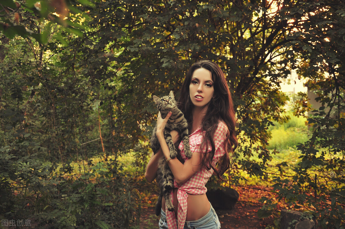 瑞典冷知识大全及图片,瑞典100条冷知识