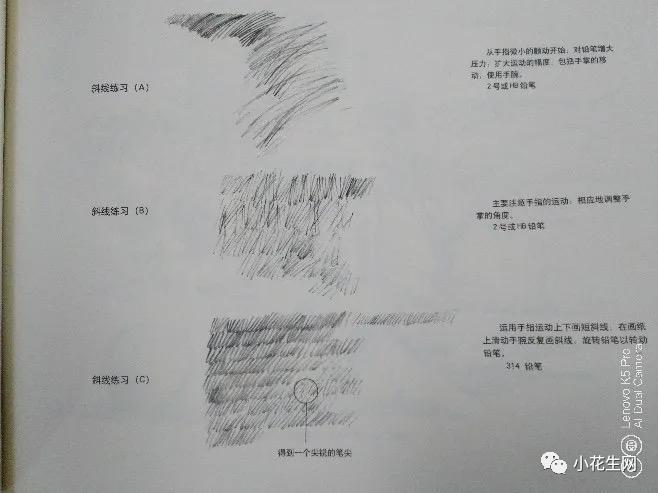 从零开始学绘画简单入门教程,从零开始学绘画必备的画