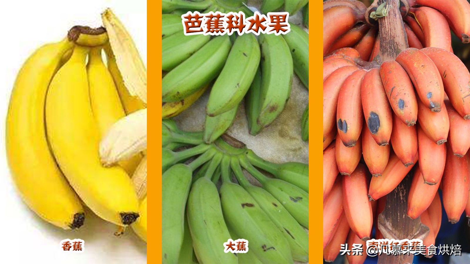 水果百科知识大全水果种类,水果种类大全水果如何分类