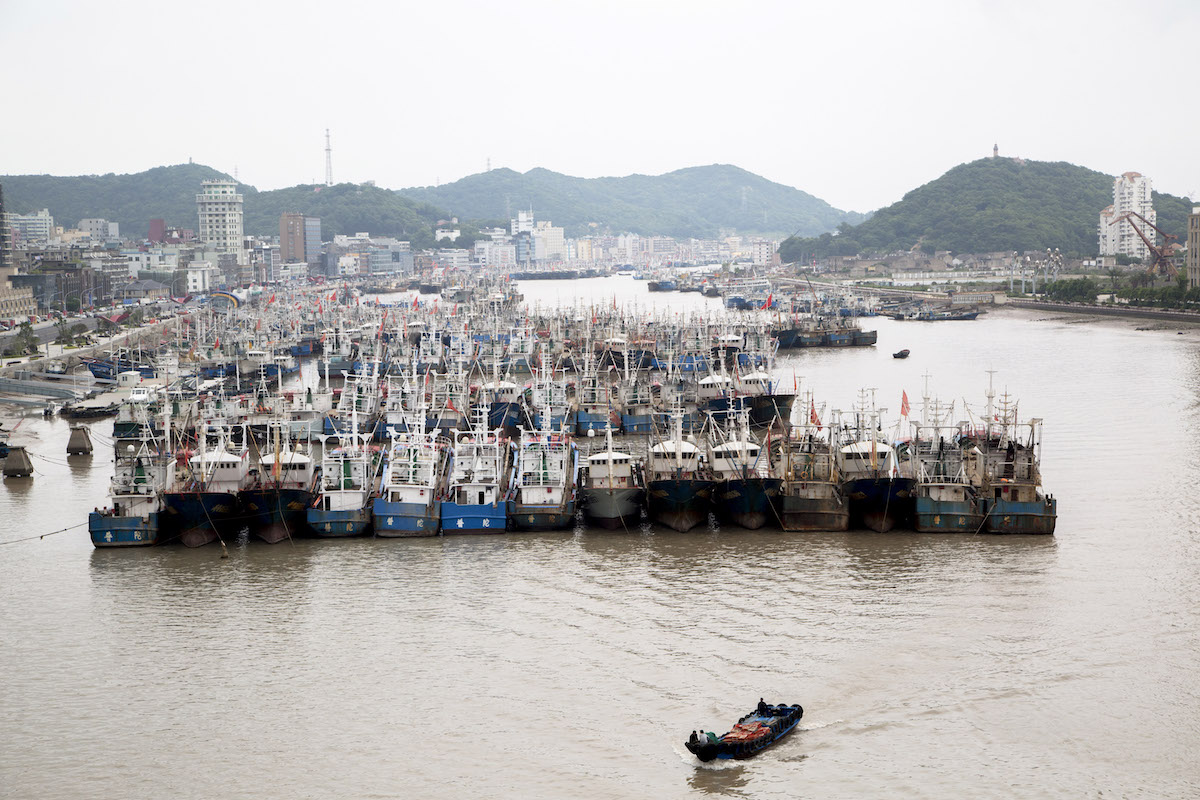 浙江舟山一季度城市gdp排名,gdp低于上海的省