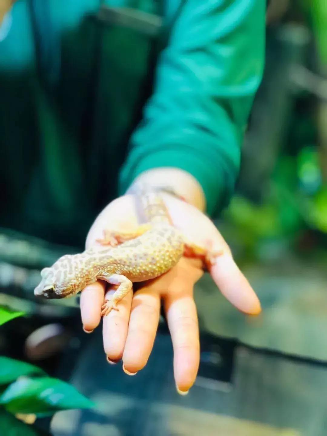郑州奥林匹克公园萌宠乐园,郑州萌宠乐园长什么样子