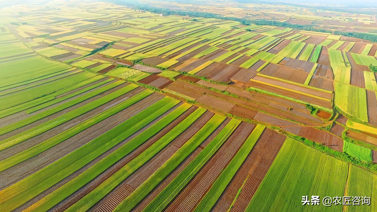 农业扶持项目及利润,新型农业项目投资政策