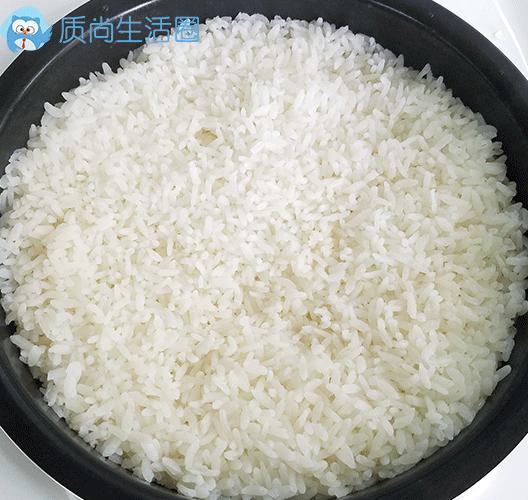 小米电饭煲哪一款煮饭速度快,电饭锅测评迷你