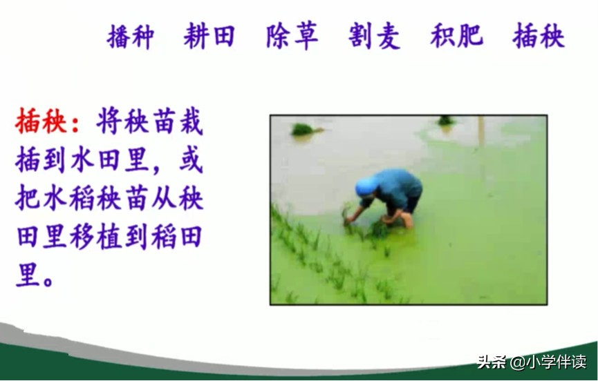 如何让孩子快速识字并会写的方法,四岁孩子识字非常困难