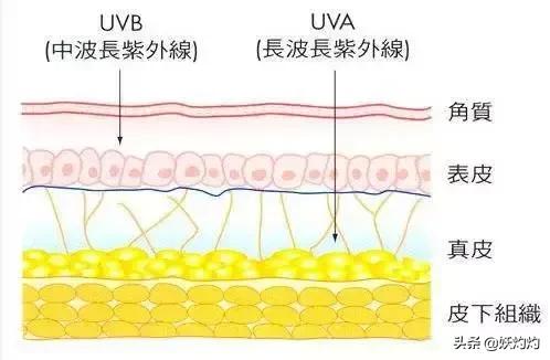 防晒霜种草贫民窟,好用的防晒霜测评