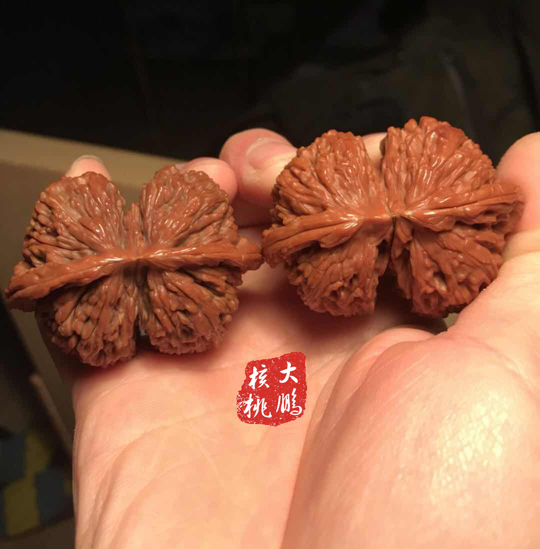 文玩核桃的蒂用什么封住,文玩核桃蒂怎么处理