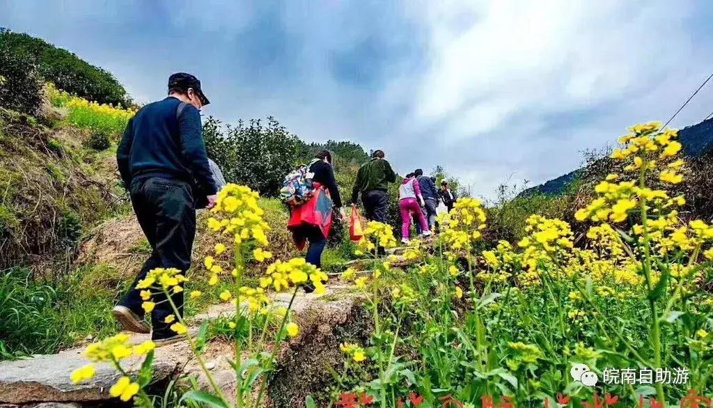 皖南白际旅游攻略图,皖南大峡谷一日游最佳路线