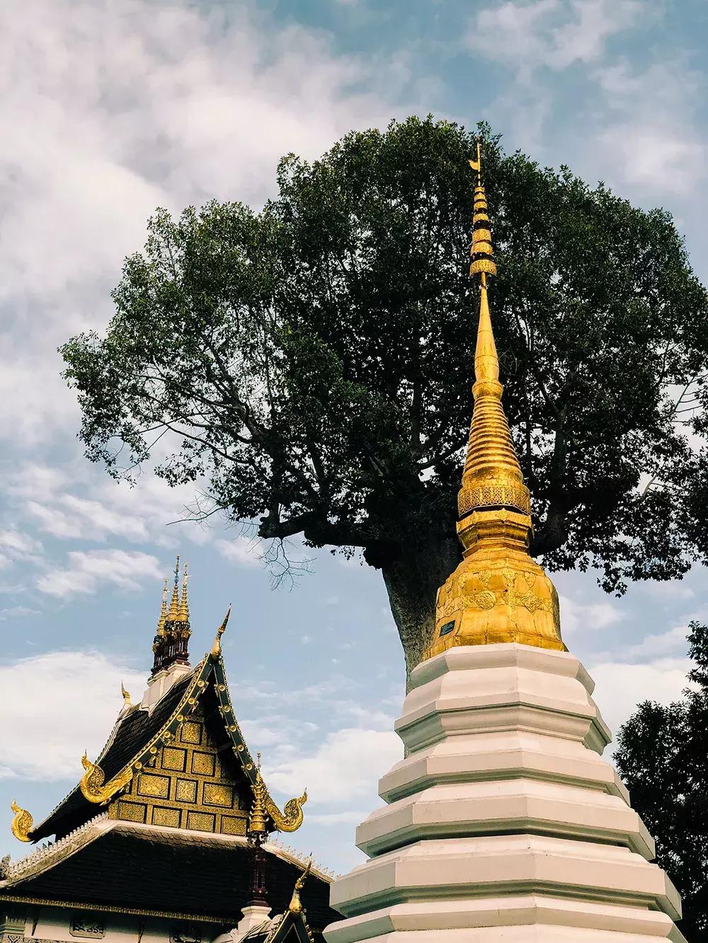 清迈最美的时光,清迈有一个夏天的故事