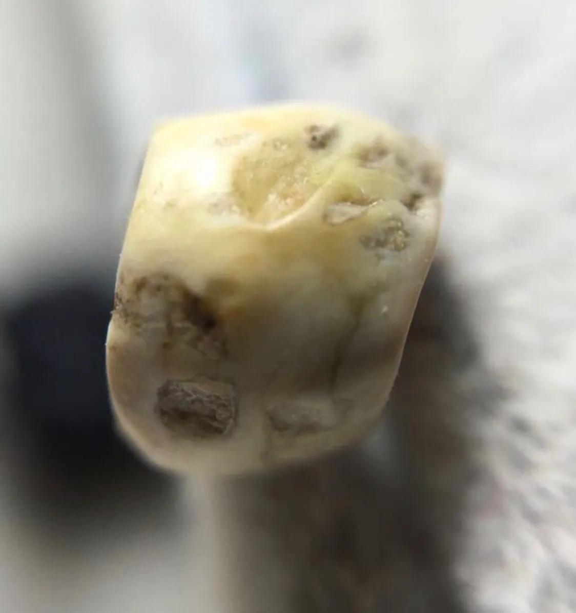 王者兵器玩具,王者猎人传奇玩具大全