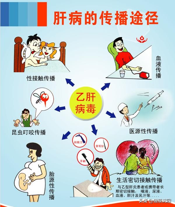 有关乙肝的科普知识,健康科普平台的乙肝秘方