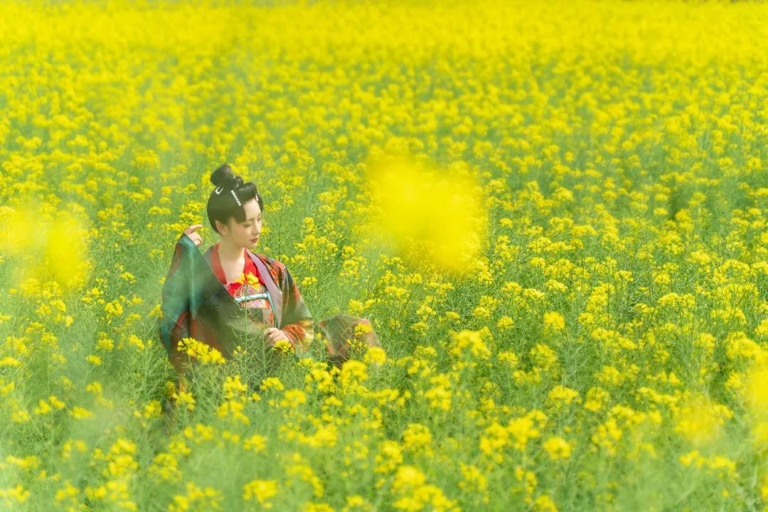 也太太太太太太太太美了吧！