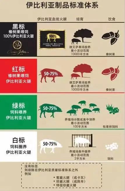 火腿西班牙为什么那么贵,10000元西班牙顶级火腿