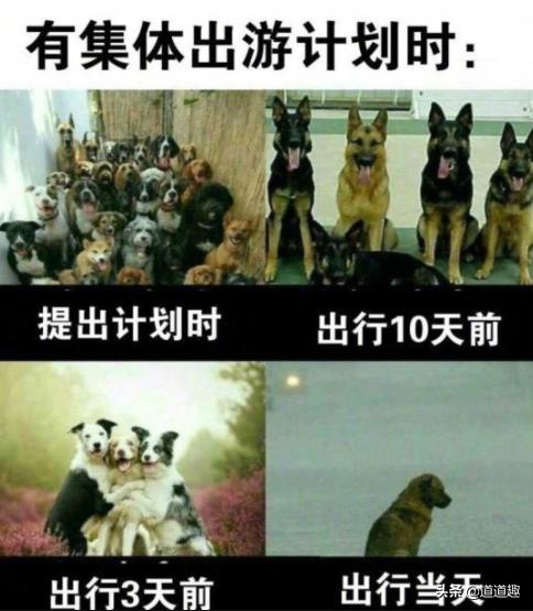 可爱搞笑图片可直接保存,搞笑图片现在的年轻妹纸真会玩啊