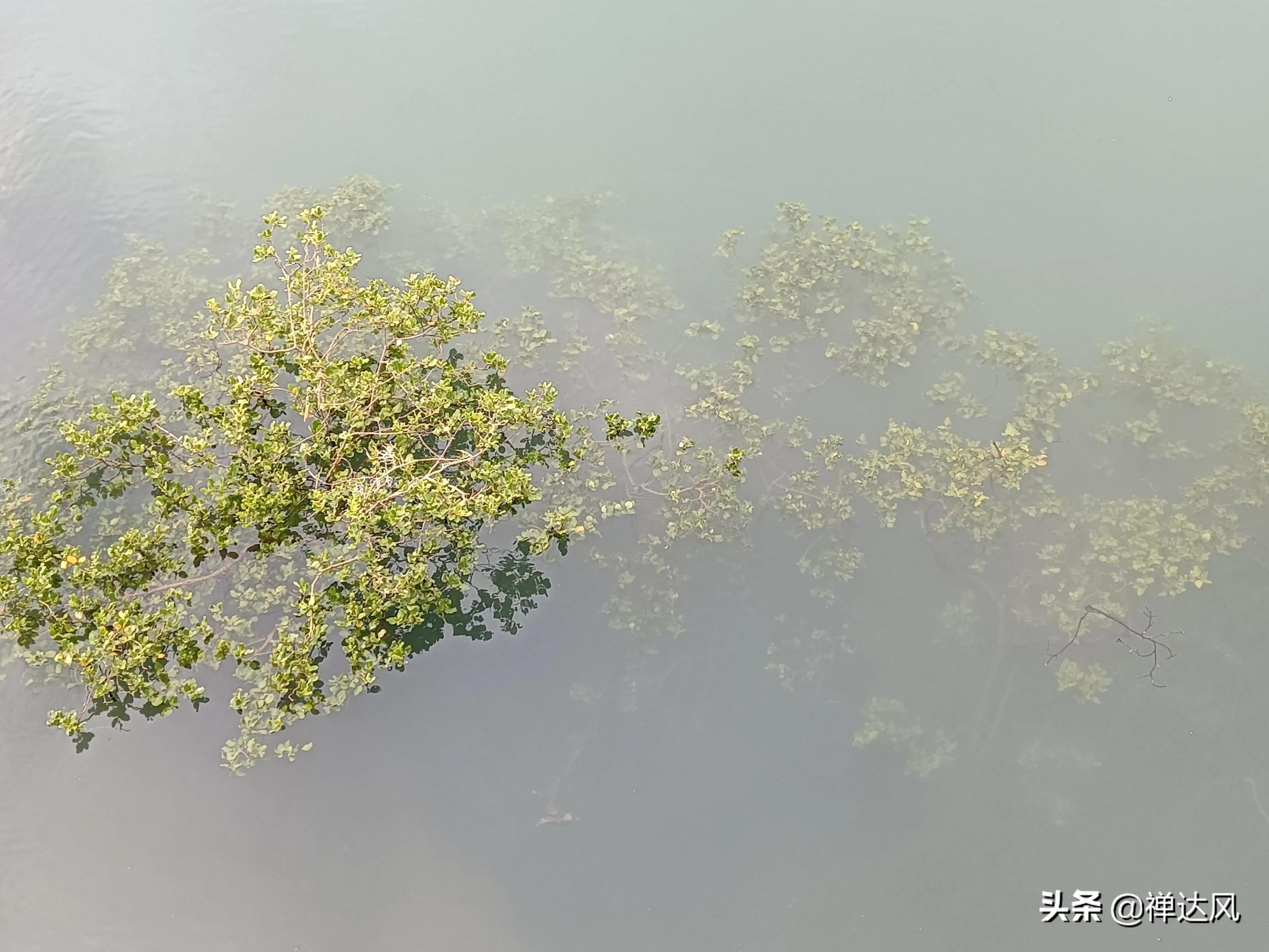 北海旅行流水账,北海道流水账