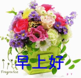 早上好的问候语唯美图片带鲜花,超美的早上好图片问候语图文