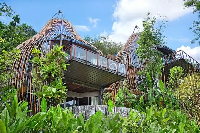 真正的森林树屋,这些树屋满足你对森林的所有幻想