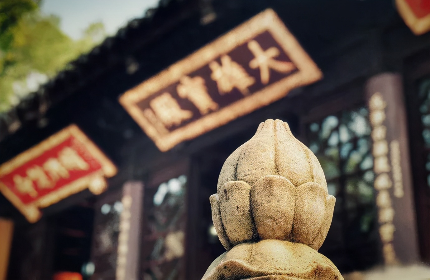 去苏州旅游的一连串旅游攻略,去苏州旅游攻略必备清单大全