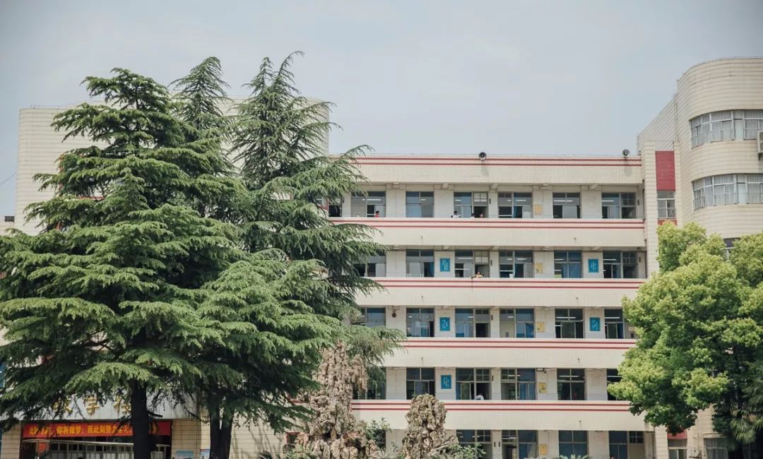 武汉32所重点小学大pk,武汉市十大美丽中学