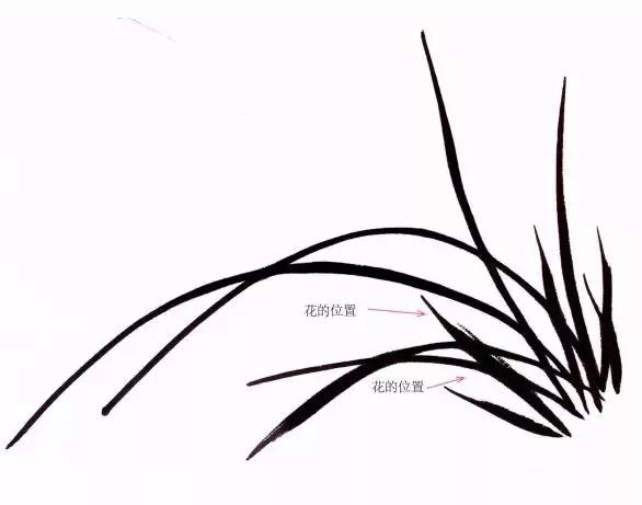 兰花绘画技法教程视频,泰国兰花绘画技法