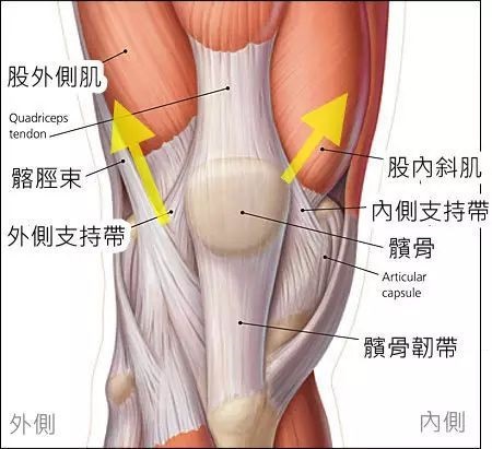 膝关节咔咔响隐隐作痛,下蹲时膝关节有小咔咔声