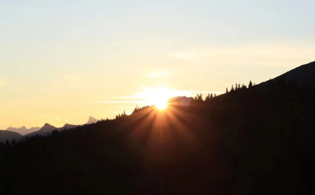 人生一半是执着一半是释怀,人生一半看淡一半释怀