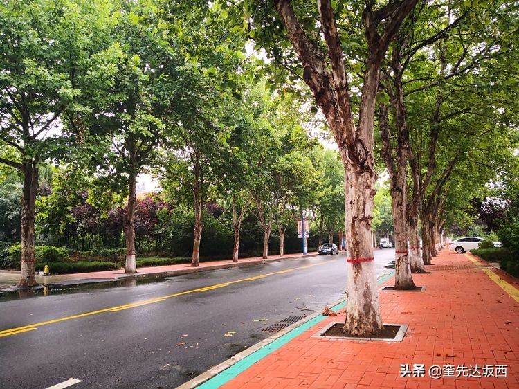 地摊卖瓜记,吃瓜随笔视频