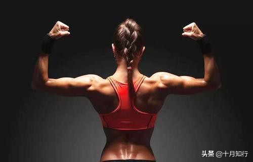 怎么锻炼让肩膀背部更好看,七分钟肩膀背部训练方法