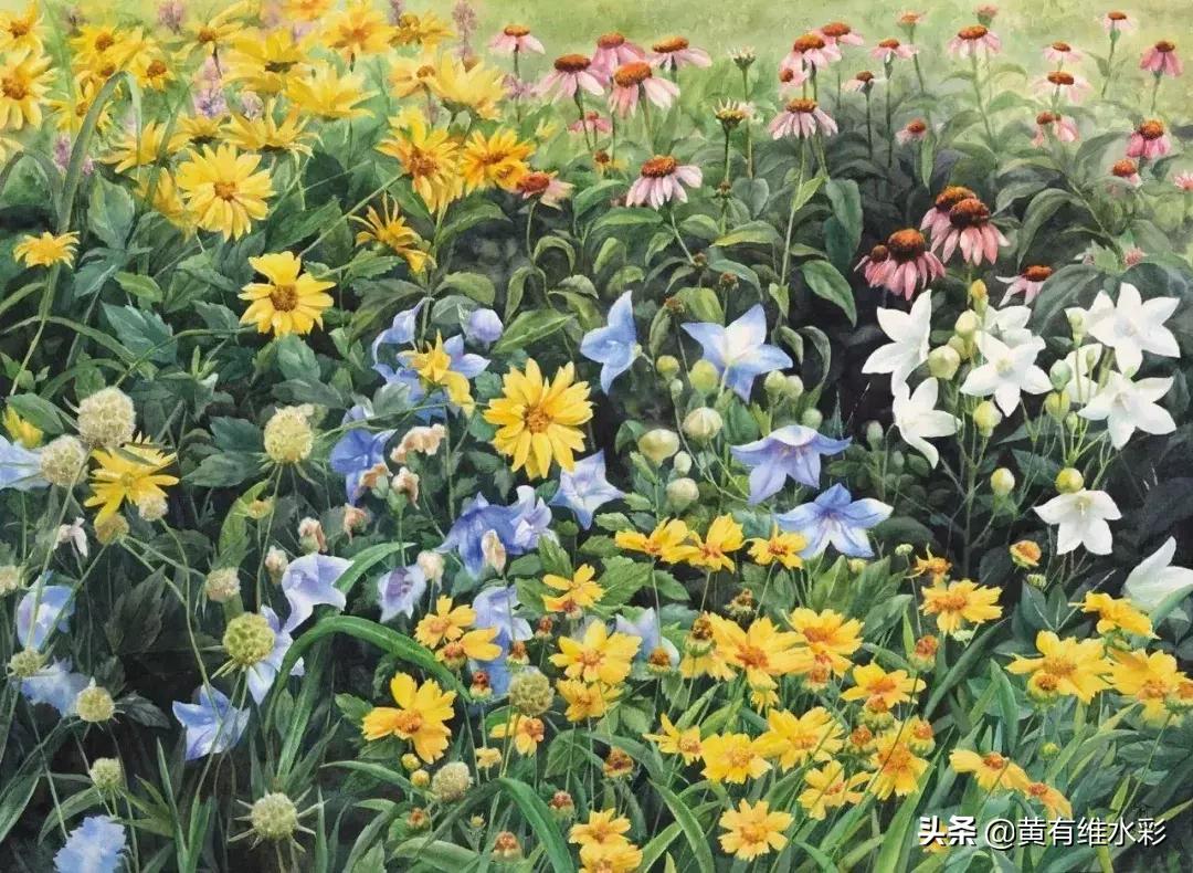 小清新水彩画玫瑰花,水彩画雨中玫瑰